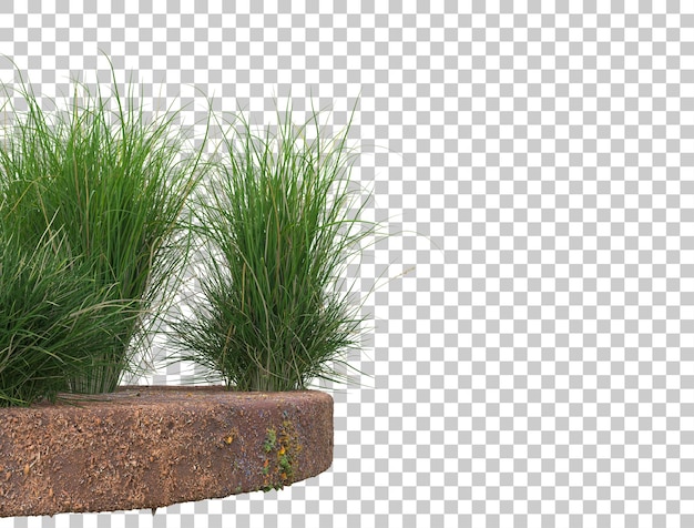 PSD sol rond avec de l'herbe sur fond transparent illustration de rendu 3d