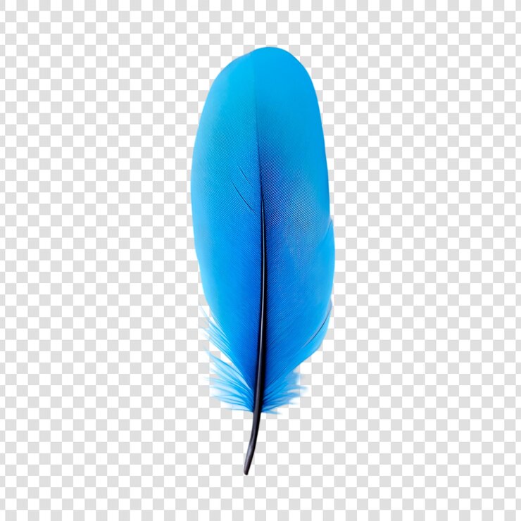 PSD una sola pluma azul vibrante aislada sobre un fondo blanco