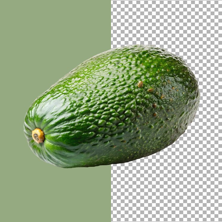 Un solo aguacate maduro con una piel verde texturizada perfecto para una alimentación saludable y usos culinarios