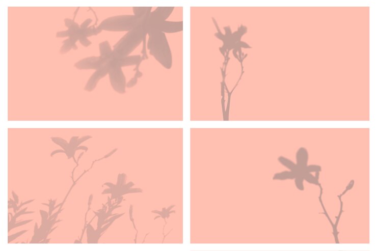 PSD sombra de folhas tropicais em conjunto de apresentação de efeitos de iluminação natural