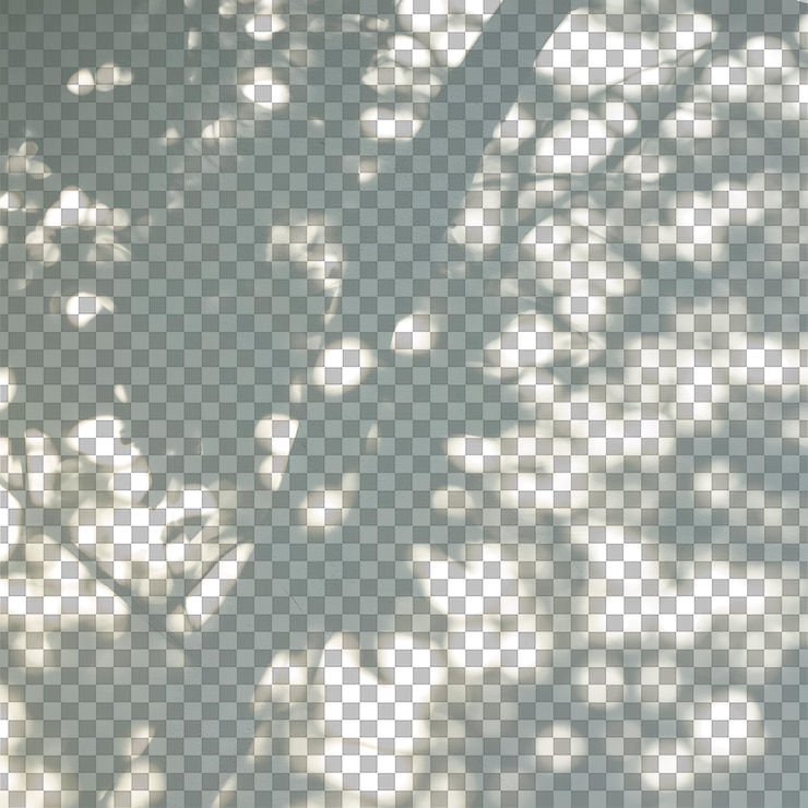 PSD sombra natural de hojas y superposición de luz solar manchada efecto de diseño transparente realista png