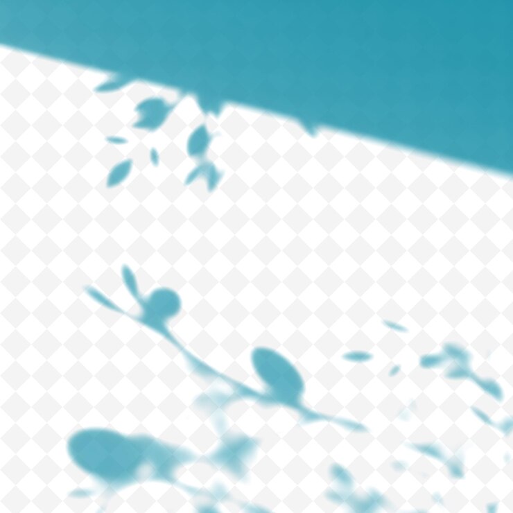 PSD sombras de concha sombras en espiral curvas con un gradiente sutil s sombra en png ilustración de fundición
