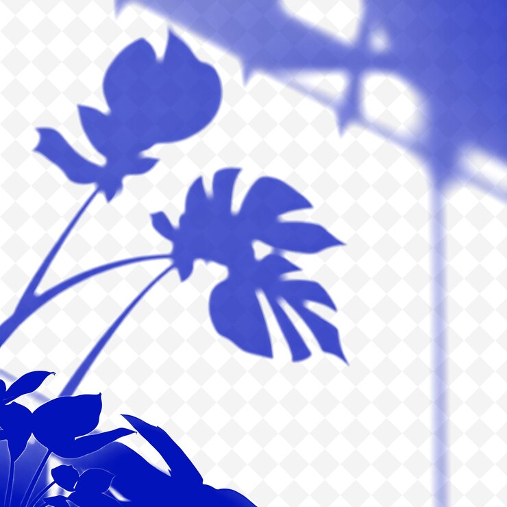 PSD sombras de plantas de orelha de elefante produzindo grandes silhuetas ousadas sombras profundas e ricas com suavidade