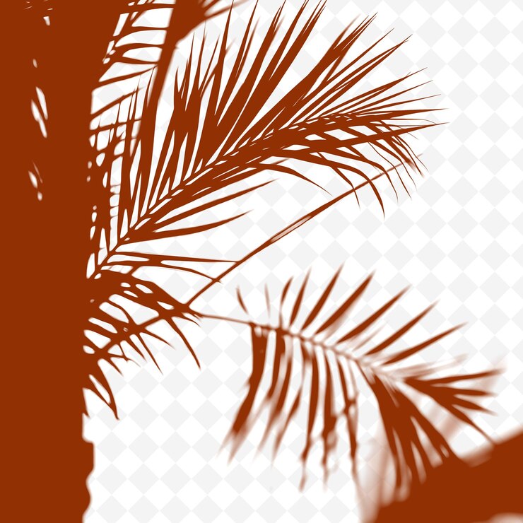 PSD las sombras de las frondas de la palma son como formas alargadas dinámicas sw png sombra de fundición ilustración