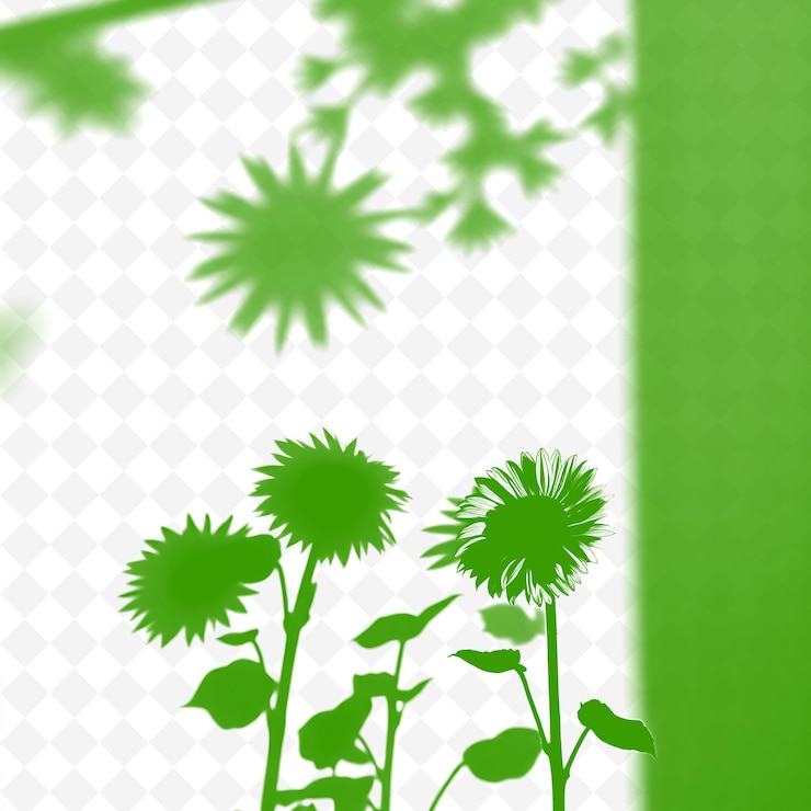 PSD sombras de girasol de fundición grandes siluetas florales en negrita gruesa r sombra de png de fundición ilustración