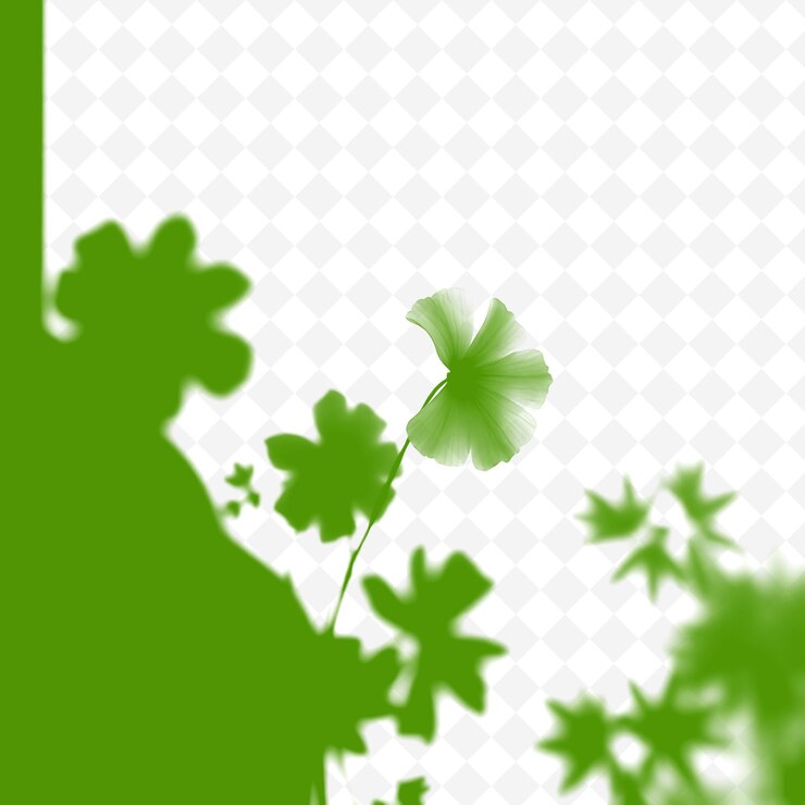 PSD sombras de hojas de ginkgo en forma de abanico sombras delicadas con textura sutil silueta de bordes suaves