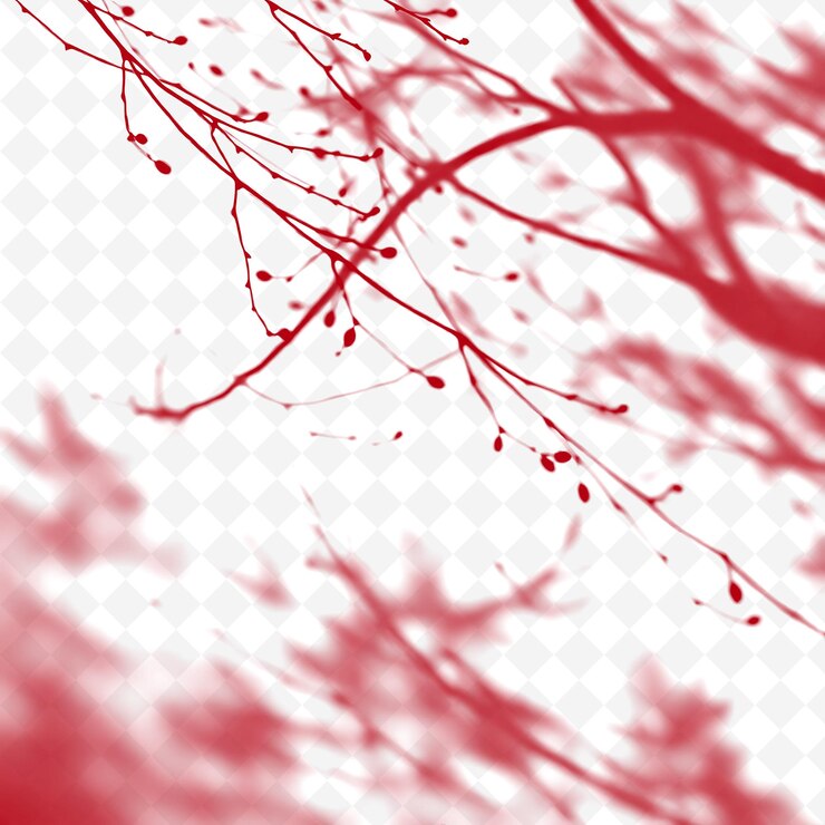 PSD las sombras de las ramas delgadas de los árboles arrojan rayas delgadas alargadas shar png sombra arroja ilustraciónsp