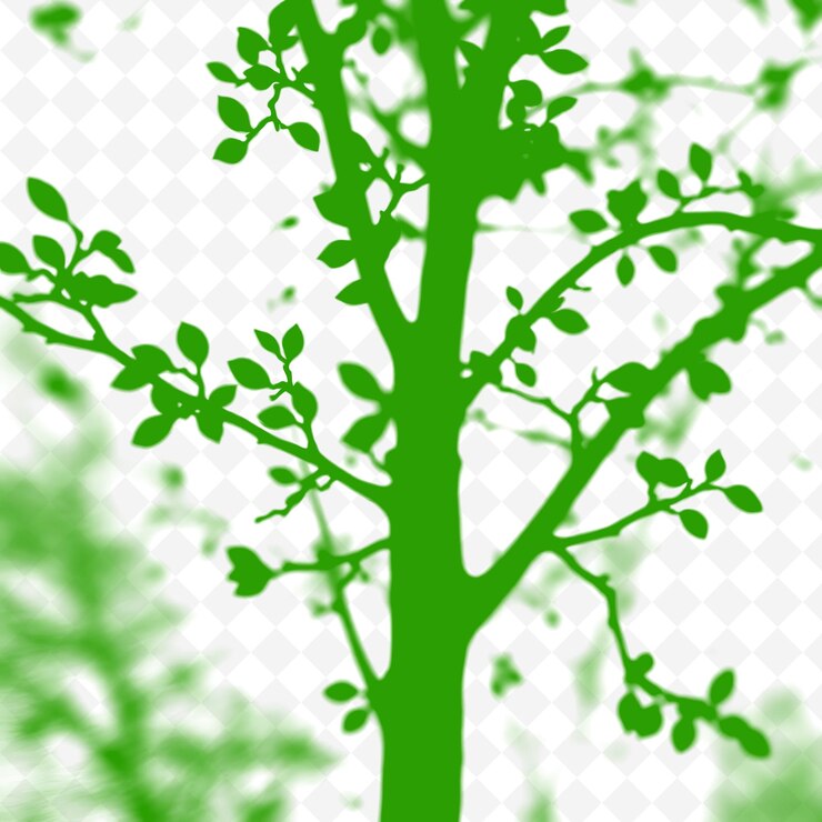 PSD las sombras de las ramas de las peras forman formas alargadas suaves sombras suaves en png ilustraciones fundidas