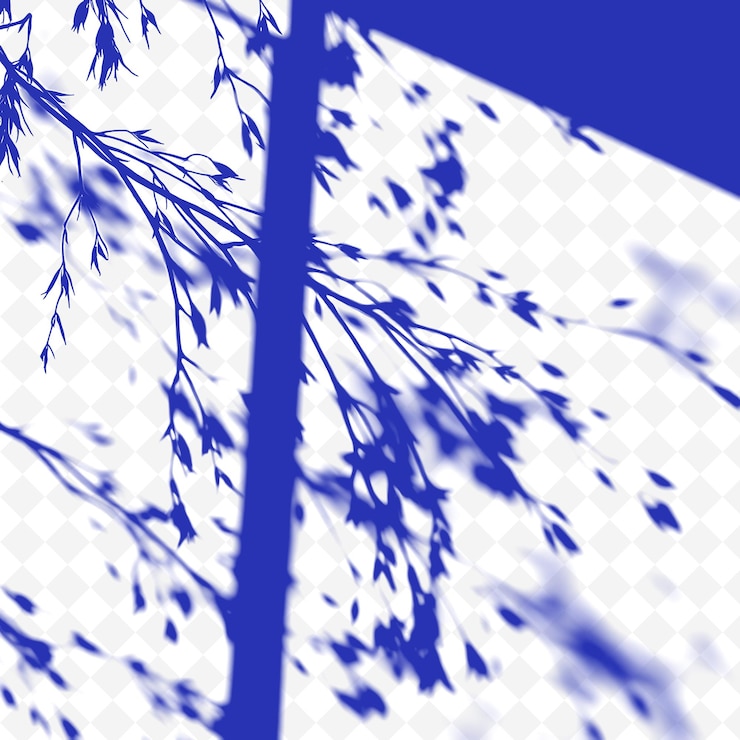 PSD sombras de ramas de sauce que fluyen formas alargadas se balancean suavemente sombras suaves de png ilustración de fundición
