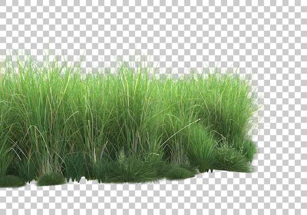 Sommerlaub auf transparentem Hintergrund 3D-Darstellung