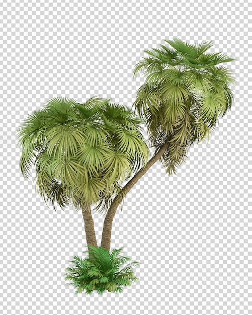 Sommerpalme in 3D-Rendering