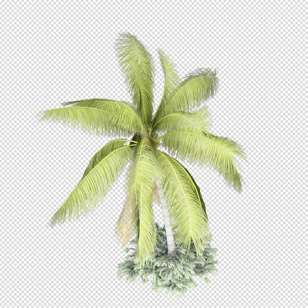 Sommerpflanze in 3D-Rendering isoliert