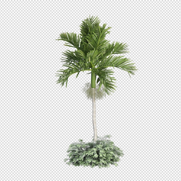 Sommerpflanze in 3D-Rendering isoliert