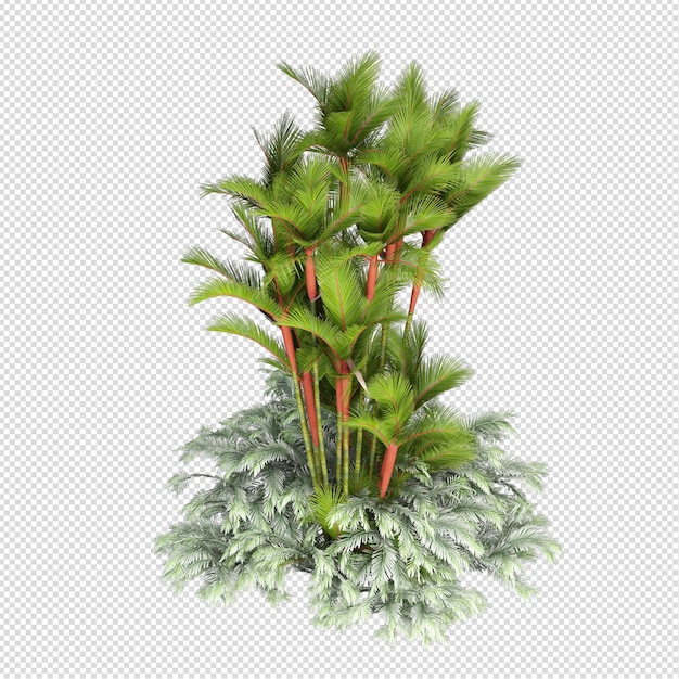 Sommerpflanze in 3D-Rendering isoliert