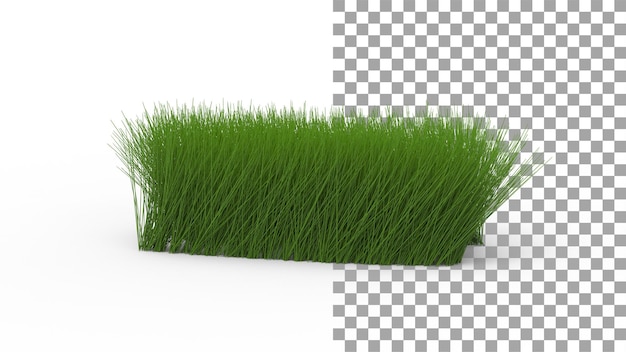 Sommerreisbaum mit Schatten 3d render