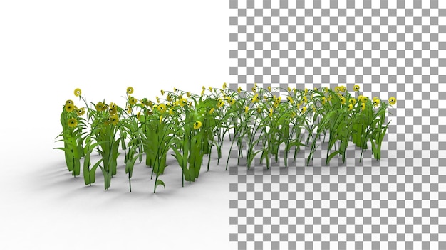 PSD sonnenblume mit schatten 3d-rendering