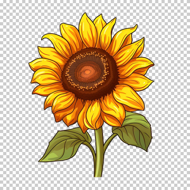 Sonnenblumen-illustration auf durchsichtigem hintergrund