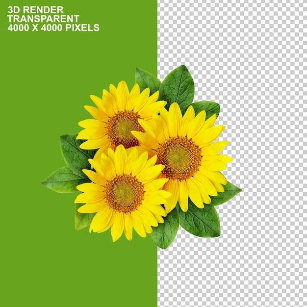 Sonnenblumenöl Pflanzenöl Sonnenblumenkerne Sonnenblumenöl Lebensmittel Sonnenblumen png