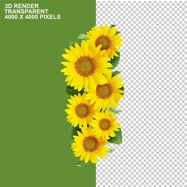 Sonnenblumenöl Pflanzenöl Sonnenblumenkerne Sonnenblumenöl Lebensmittel Sonnenblumen png