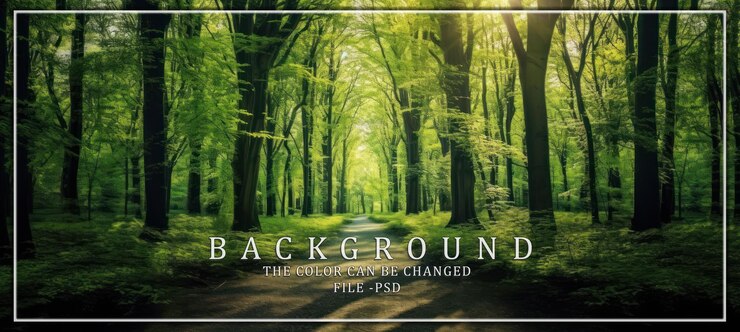 PSD sonnenerleuchteter pfad durch einen grünen wald