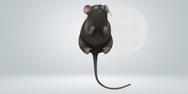 PSD souris isolée sur un fond transparent