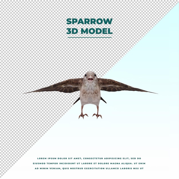 PSD sparrow