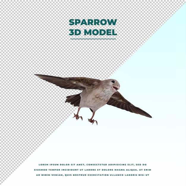 Sparrow