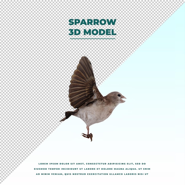 PSD sparrow