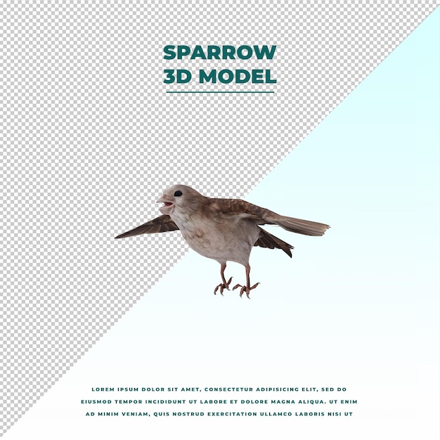 Sparrow