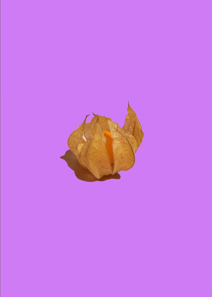 PSD spinning top shape