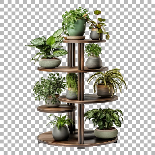 Stand De Plantes Sur Un Fond Transparent