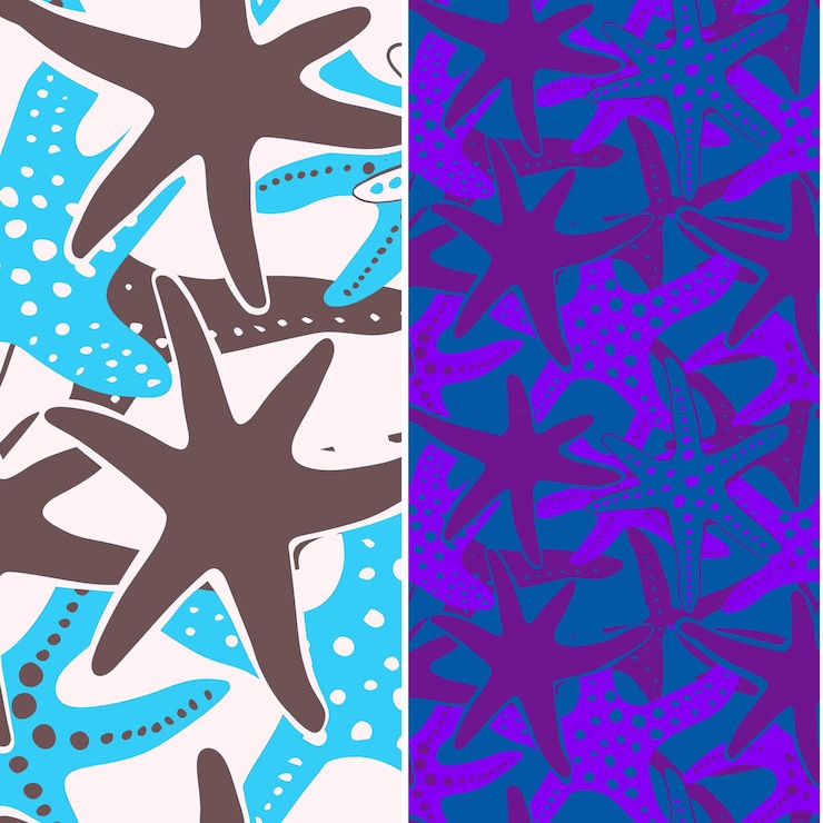 PSD starfish with star shaped silhouette geometric minimal desig nature pattern vector designs