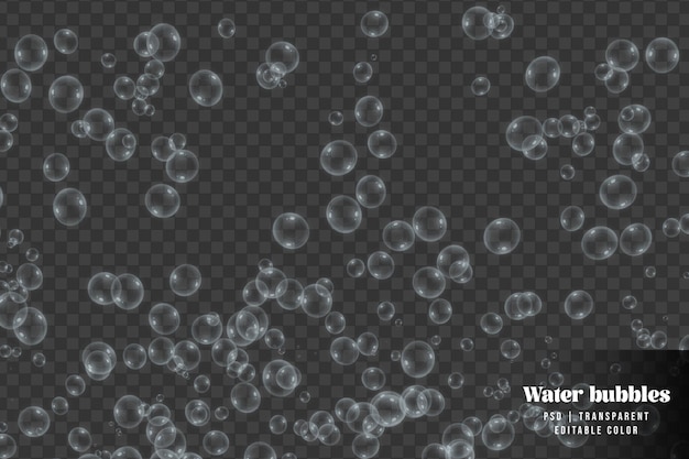 Steigt Wasserblasen isoliert auf transparentem Hintergrund auf