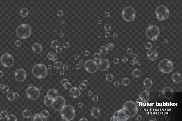 Steigt Wasserblasen isoliert auf transparentem Hintergrund auf
