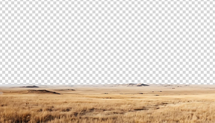 PSD steppe png 2
