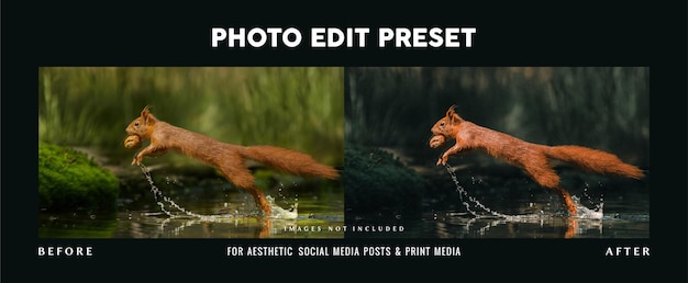 Stimmungsvoller Fotobearbeitungs-Voreinstellungsfilter für Wildtierfotografie-Broschürenbanner