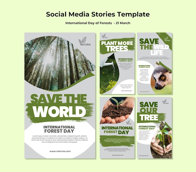 Storie di instagram della giornata internazionale della foresta