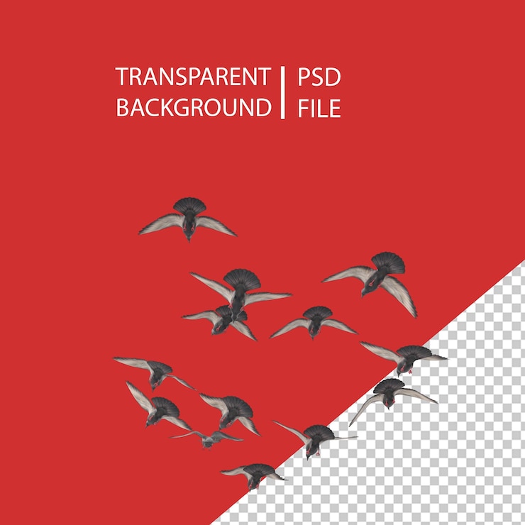 PSD stormo di uccelli png