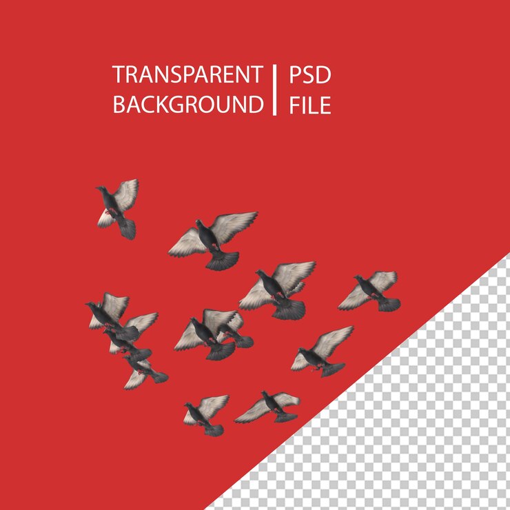 PSD stormo di uccelli png