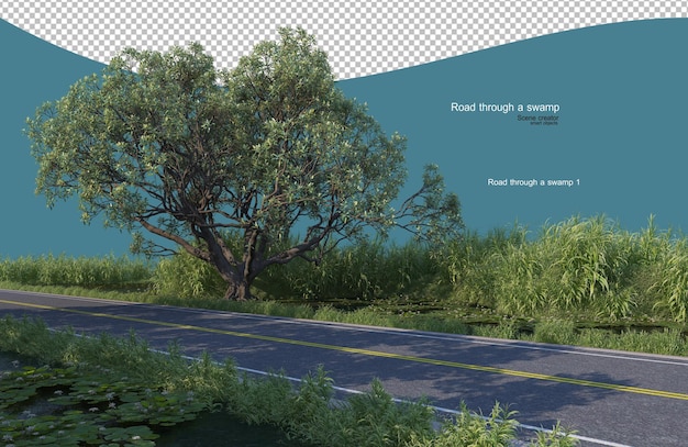 Strada attraverso una palude