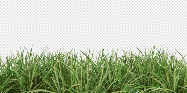 Sträucher in 3D-Rendering isoliert