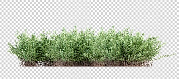 Sträucher in 3D-Rendering isoliert