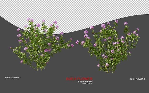 Sträucher und Blumen für den Landschaftsbau