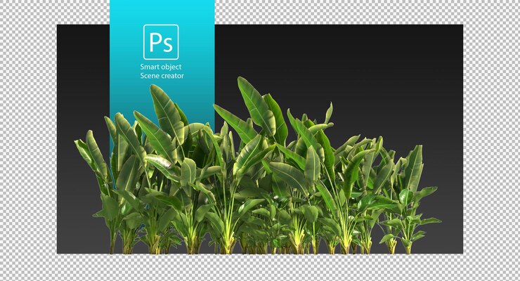 PSD strelitzia nicolai ou bird of paradise clipping path