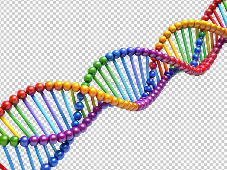 PSD struttura del genoma del dna
