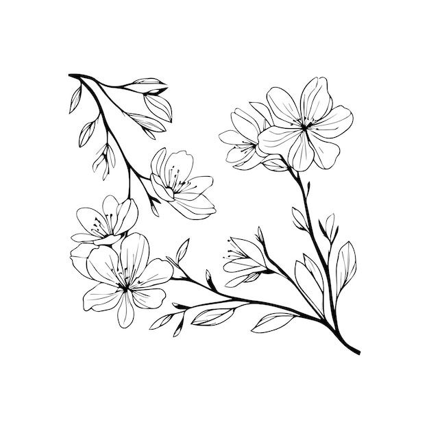 Le style de dessin de la ligne florale