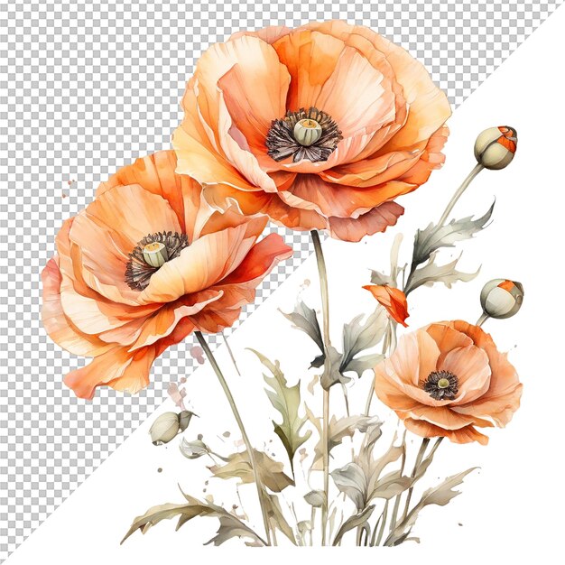 PSD sublimation de fleurs clipart floral et décoration de mariage