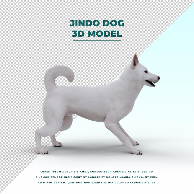 süßer Jindo-Hund