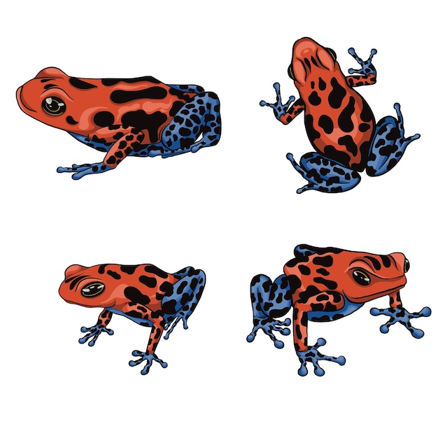Süßes Giftfrosch-Design mit 4 Stilen