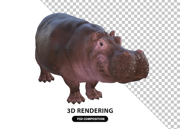 süßes nilpferd 3d-rendering